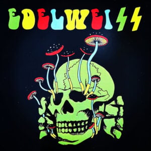 Edelweiss – White Flower Power / Yeast Of The Mind EP