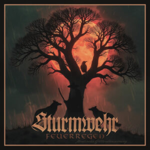 Sturmwehr – Feuerregen